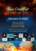 Texas Coral Fest 2023 Winter Fire.jpg