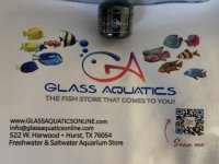 2023-02 voter prize from Willows Reef and Glass Aquatics.JPG