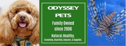 Odyssey Pets FaceBook Banner.jpg