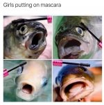 Fish Mascara.jpg