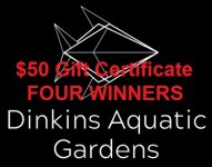 Dinkins fifty dollar 4 winner gift certificate over logo.jpg
