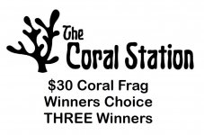 The Coral Station Frags Donations.jpg