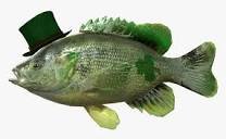 St Patrick's Day green fish.jpg