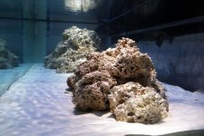 aquarium-sand-substrate.jpg