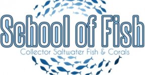 School of Fish logo.jpg