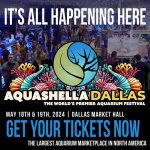 Aquashella 2024 TX tickets on sale.jpg