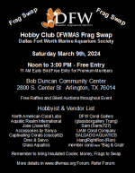 2024-03-09 Frag Swap with Vendors Flyer scaled larger.png