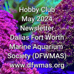 2024-May Newsletter - cover.png