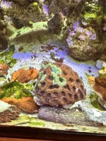 IMG_1905.jpeg IMG_1905.jpeg