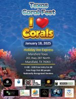 Texas Coral Fest 2025-01-18.jpg