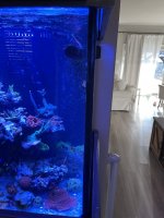 IMG_8935.jpeg