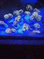 20250207_182151.jpg