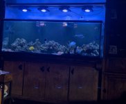 IMG_3444.jpeg