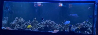 IMG_3440.jpeg