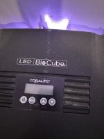 IMG_9700.jpeg