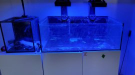 20250316_135928.jpg