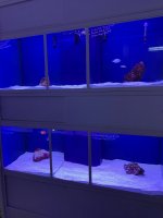 IMG_7279.jpg