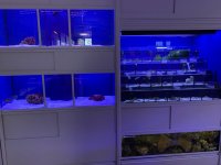 IMG_7276.jpg