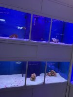 IMG_7277.jpg