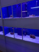 IMG_7278.jpg