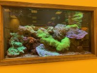IMG_7256.jpg