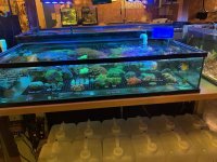 IMG_7250.jpg