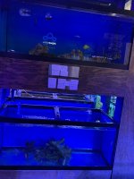 IMG_7249.jpg