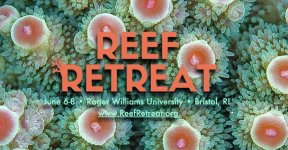 Reef Retreat.jpg
