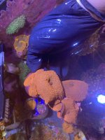 45187D74-959B-4DA7-A572-E4FF9B1C6C73.jpeg