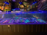 IMG_7213.jpg