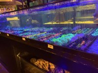 IMG_7201.jpg