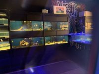 IMG_7202.jpg
