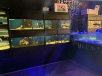 IMG_7203.jpg