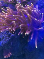 IMG_6642.jpeg
