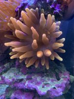 IMG_8464.jpeg