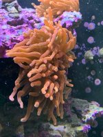 IMG_8186.jpeg