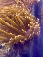 IMG_8203.jpeg