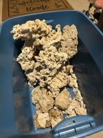 IMG_5209.jpeg
