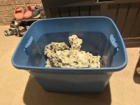 IMG_5211.jpeg