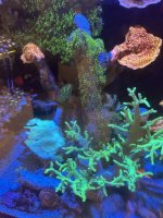 IMG_3561.jpeg