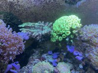 IMG_8190.jpg