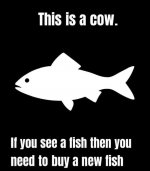 see a fish.jpg