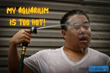 Too-hot-scaled.jpg