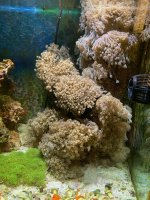 IMG_7917.jpg
