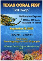 Texas Coral Fest.jpg