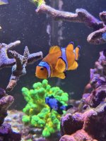 IMG_2500.jpeg IMG_2500.jpeg