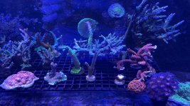 IMG_8744.jpeg IMG_8744.jpeg