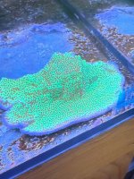 IMG_6744.jpeg IMG_6744.jpeg