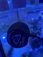 IMG_6974.jpeg