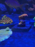 IMG_6981.jpeg
